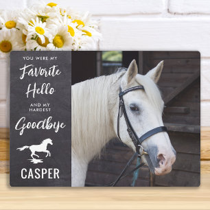 Placa Expositora Favorito Hello Horse Foto Personalizada Memorial d