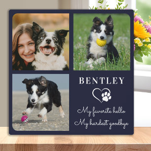 Placa Expositora Favorito Hola Personalizado Mascota Perro Memorial