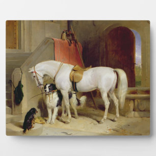 Placa Expositora Favoritos del príncipe Jorge (aceite sobre lienzo)