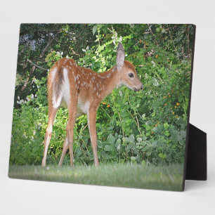 Placa Expositora Fawn Plaque