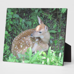 Placa Expositora Fawn Plaque