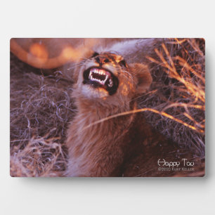 Placa Expositora Feliz Tau