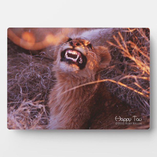 Placa Expositora Feliz Tau (Frente)