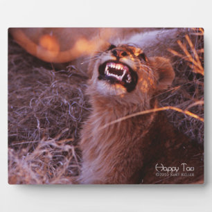 Placa Expositora Feliz Tau