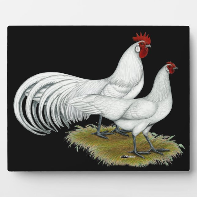 Placa Expositora Fénix: Pareja blanca (Frente)