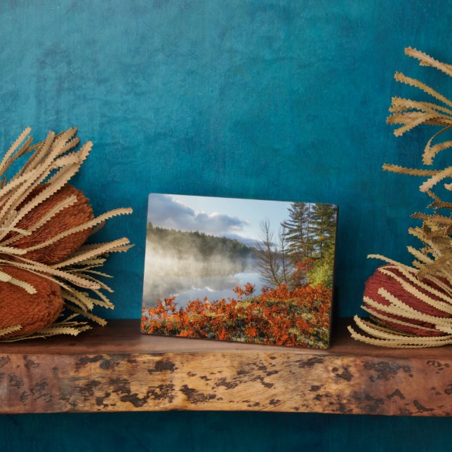 Placa Expositora Fermones en la línea costera | Paraíso, Michigan (Lado)