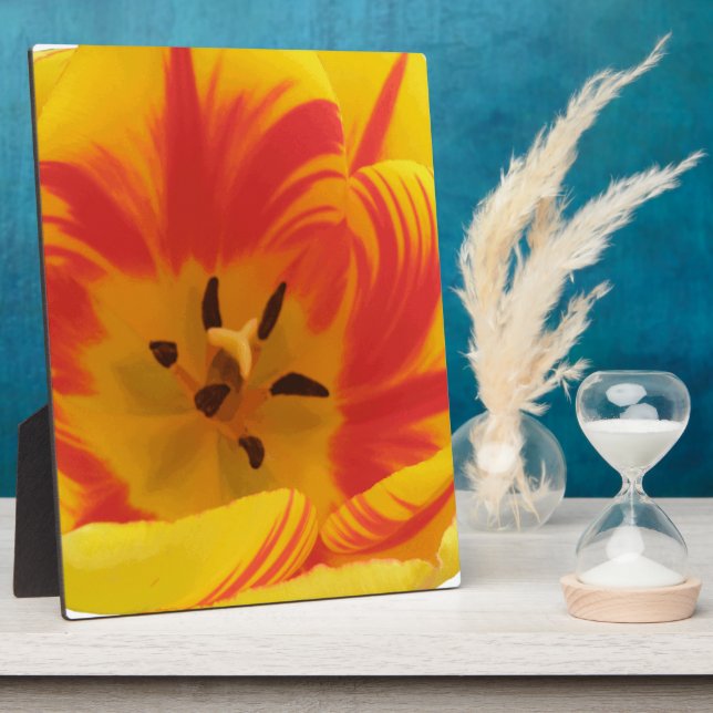 Placa Expositora Fiery Tulip Plaque (Lado)