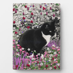 Placa Expositora Filas en flores II - Gato de Kitty Tuxedo