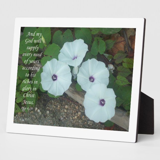 Placa Expositora Filipinas 4:19 (Lado)