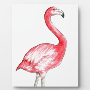 Placa Expositora Flamingo Art