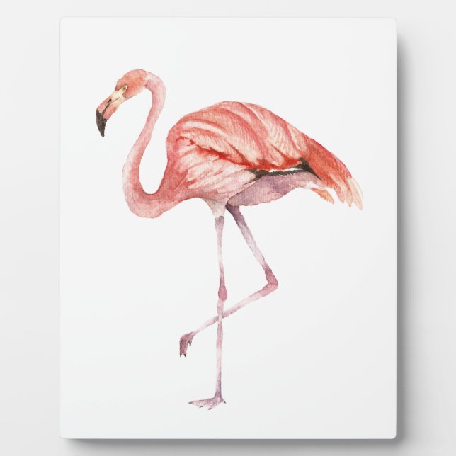 Placa Expositora Flamingo rosa (Frente)