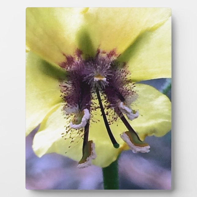 Placa Expositora Flor amarilla 3 (Frente)