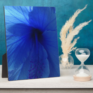 Placa Expositora Flor azul hibiscus
