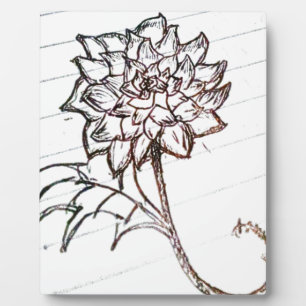 Placa Expositora flor blanca de rosas