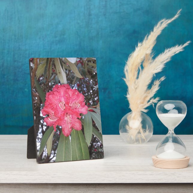 Placa Expositora Flor de árbol rojo (Lado)