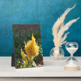 Placa Expositora Flor de Astilbe amarillo