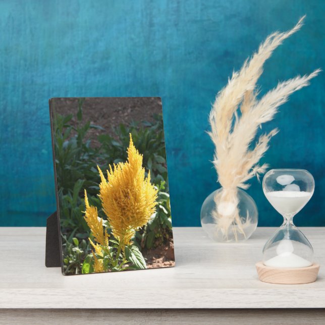 Placa Expositora Flor de Astilbe amarillo (Lado)