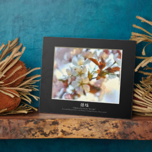 Placa Expositora Flor de cerezo: Shouki 