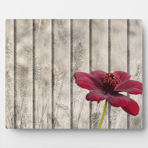 Placa Expositora Flor De Chocolate Rojo De Estilo Chic Shabby En Ma