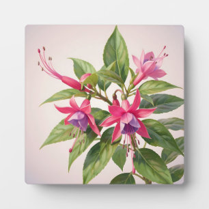Placa Expositora Flor de fucsia rosa vibrante