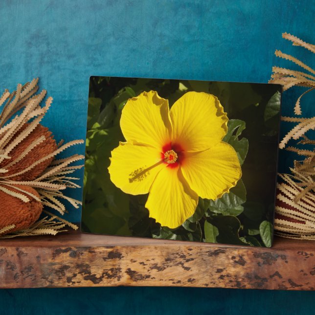 Placa Expositora Flor de Hibisco Amarillo (Lado)