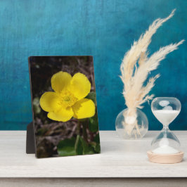 Placa Expositora Flor de jardín amarilla