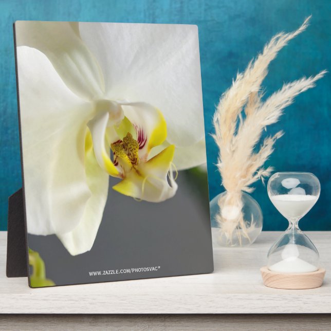 Placa Expositora Flor de orquídea blanca (Lado)