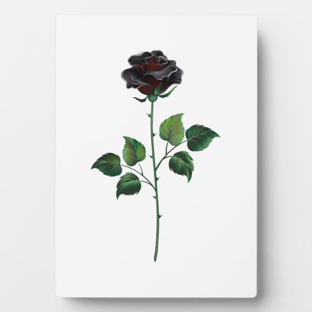 Placa Expositora Flor de rosa negra (Frente)