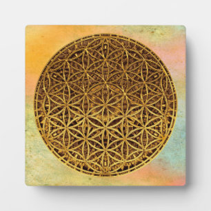 Placa Expositora Flor de vida / Blume des Lebens - oro de medallas