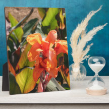 Flor naranja exótica