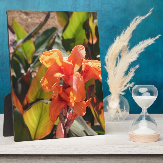 Placa Expositora Flor naranja exótica (Lado)