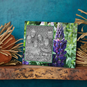 Placa Expositora Flor Purple Lupine Añadir su propia foto