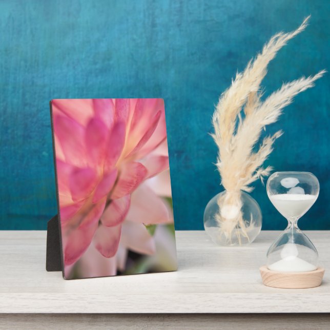 Placa Expositora Flor rosa brillante (Lado)