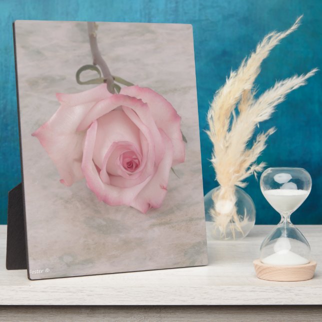 Placa Expositora Flor rosa suave (Lado)