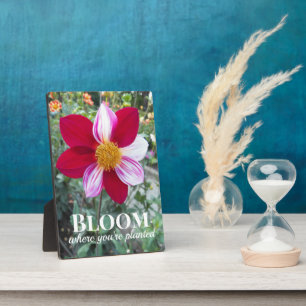 Placa Expositora Floral de citas en Bloom Where You're Planted