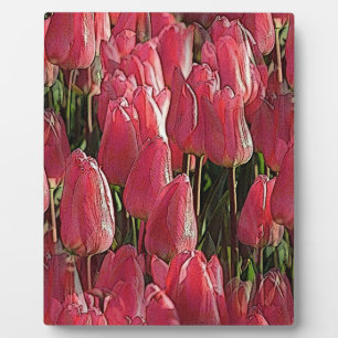 Placa Expositora Floral de tulipanes rosados