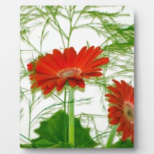 Placa Expositora Floral rojo