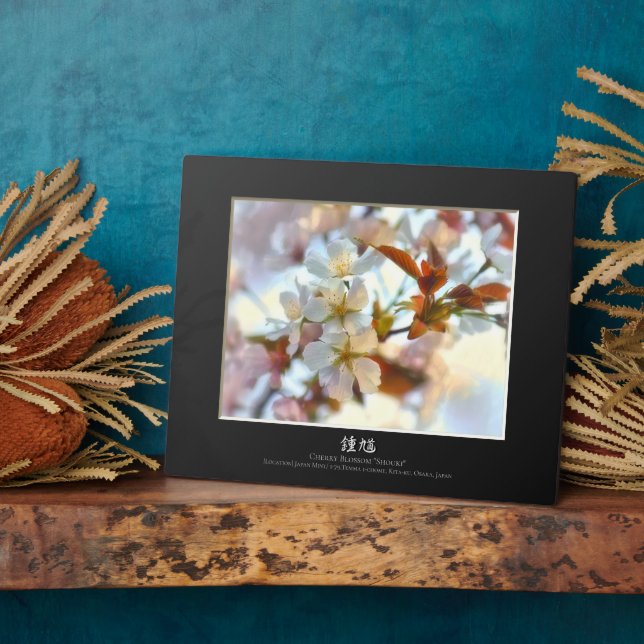 Placa Expositora Florecimiento de cerezos: Shouki (Lado)