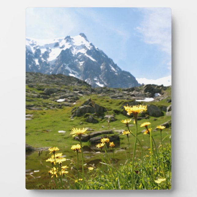 Placa Expositora Flores alpinas - Hermosas! (Frente)