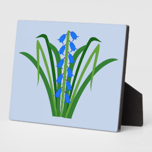 Placa Expositora Flores Bluebell Niño Primavera