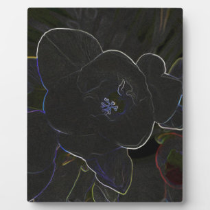 Placa Expositora flores de freesia delineadas