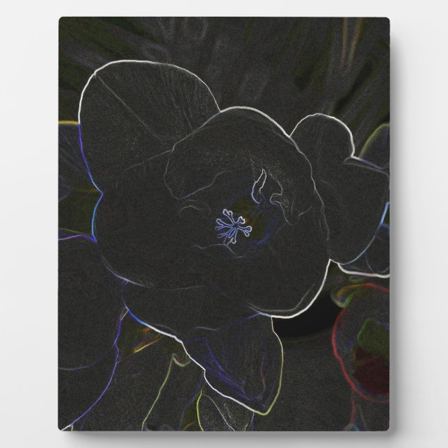 Placa Expositora flores de freesia delineadas (Frente)
