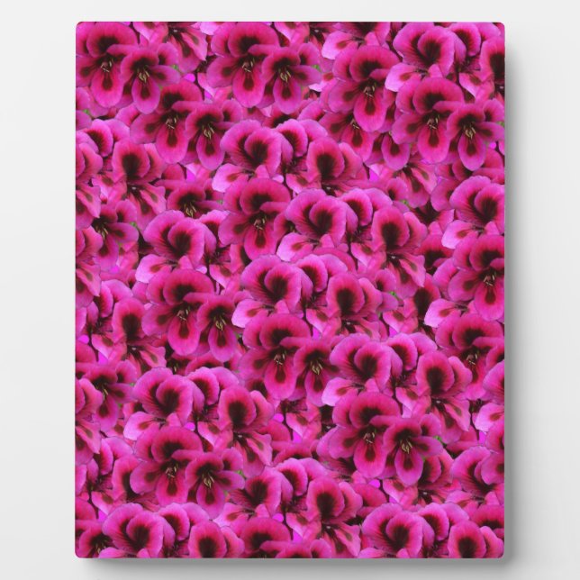 Placa Expositora Flores de geranio magenta caliente, (Frente)