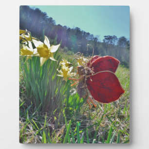 Placa Expositora Flores de hadas y amarillas