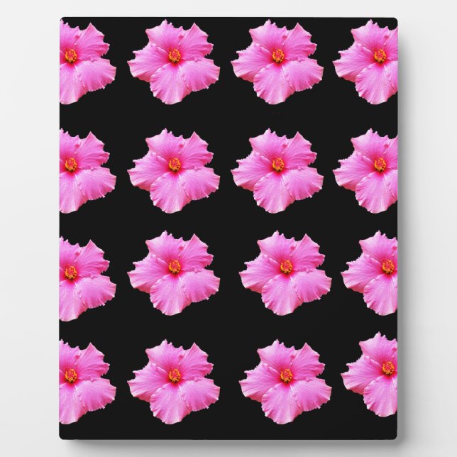 Placa Expositora Flores De Hibiscus Rosa En Negro,_ (Frente)