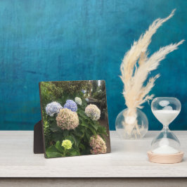 Placa Expositora Flores de jardín