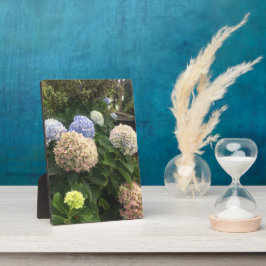 Placa Expositora Flores de jardín