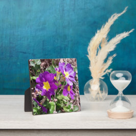 Placa Expositora Flores de jardín morado