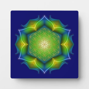 Placa Expositora FLORES DE LA VIDA / Blume des Lebens - Mandala V