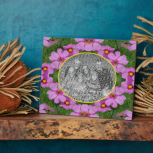 Placa Expositora Flores de margarita rosada Cosmos agregan tu foto